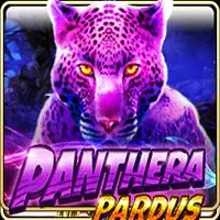 PANTHERA PARDUS