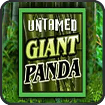 Untamed - Giant Panda