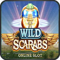 Wild Scarabs