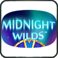 MIDNIGHT WILDS